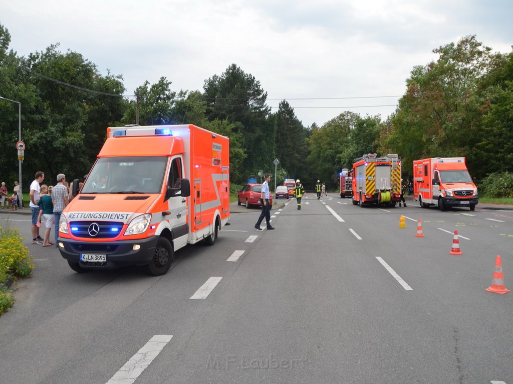 PKlemm Koeln Duennwald Am Weissen Moench Duennwalder Kommunalweg P20.JPG - Miklos Laubert